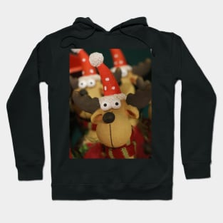 funny animal Christmas Hoodie